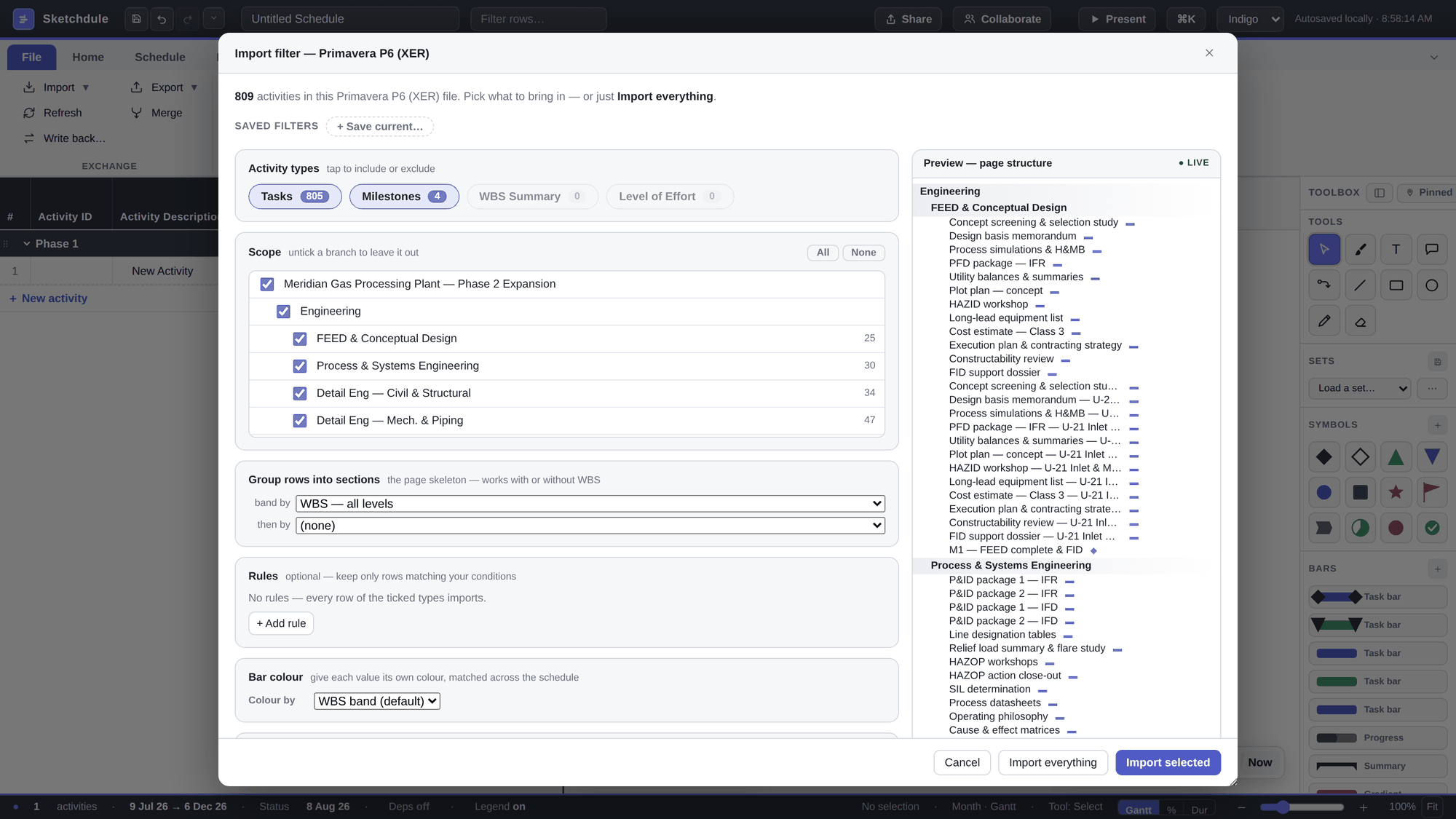The Import filter dialog for a Primavera P6 XER: activity type counts, a WBS scope tree with checkboxes, grouping options and a live page-structure preview